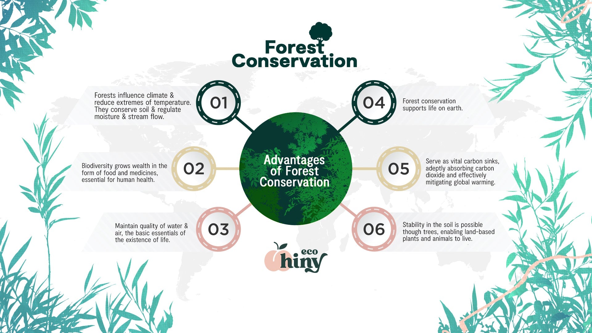 Infographic by ecoHiny illustrating six key benefits of forest conservation including biodiversity, carbon absorption, and water regulation