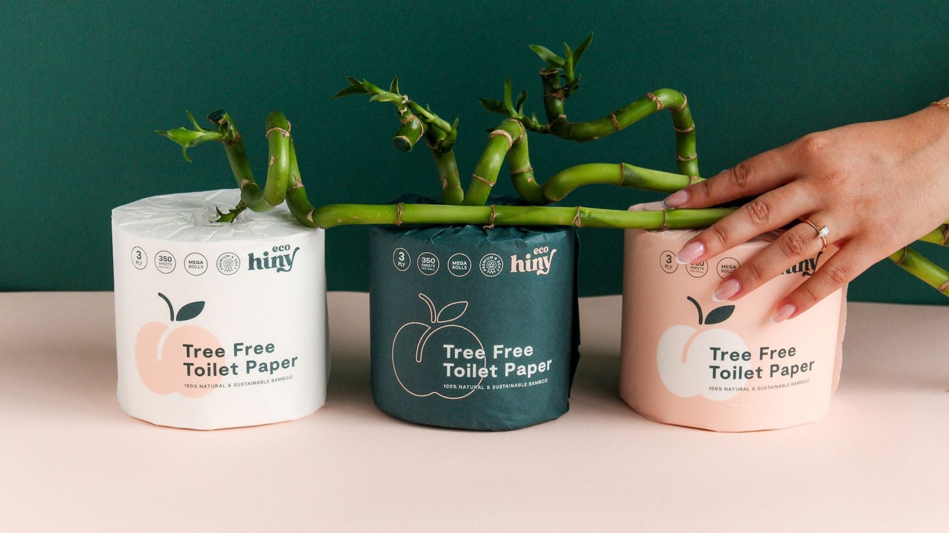 ecoHiny bamboo toilet paper rolls with live bamboo stems—tree-free, plastic-free, and sustainably sourced from renewable materials
