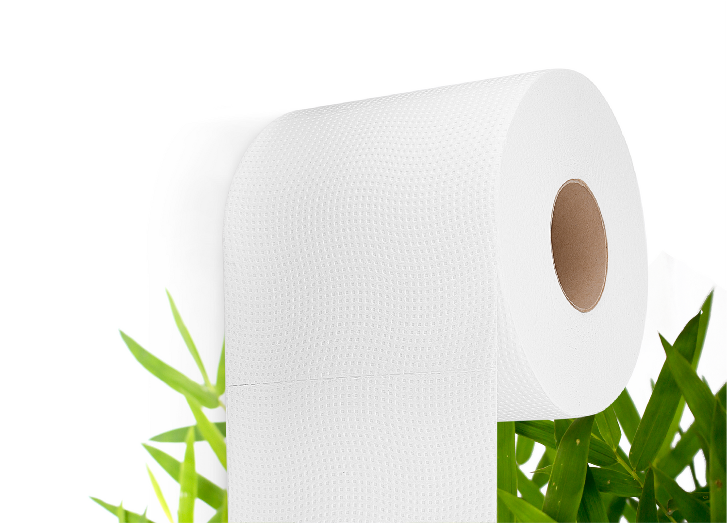 Tree free Toilet paper