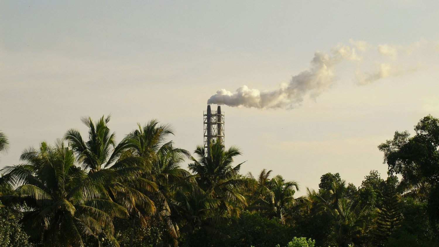 Carbon Reporting in Production: Why It Matters for Sustainability