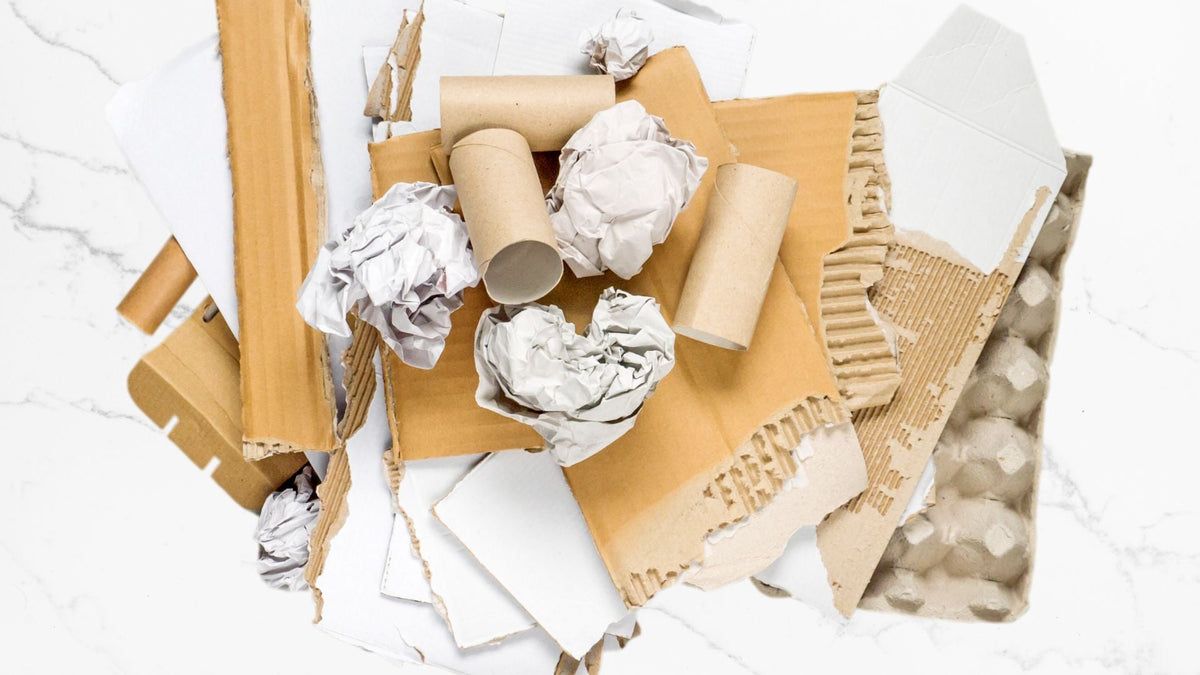 Biodegrading Paper Is Paper Biodegradable? Biodegradable vs Compostable? – ecoHiny