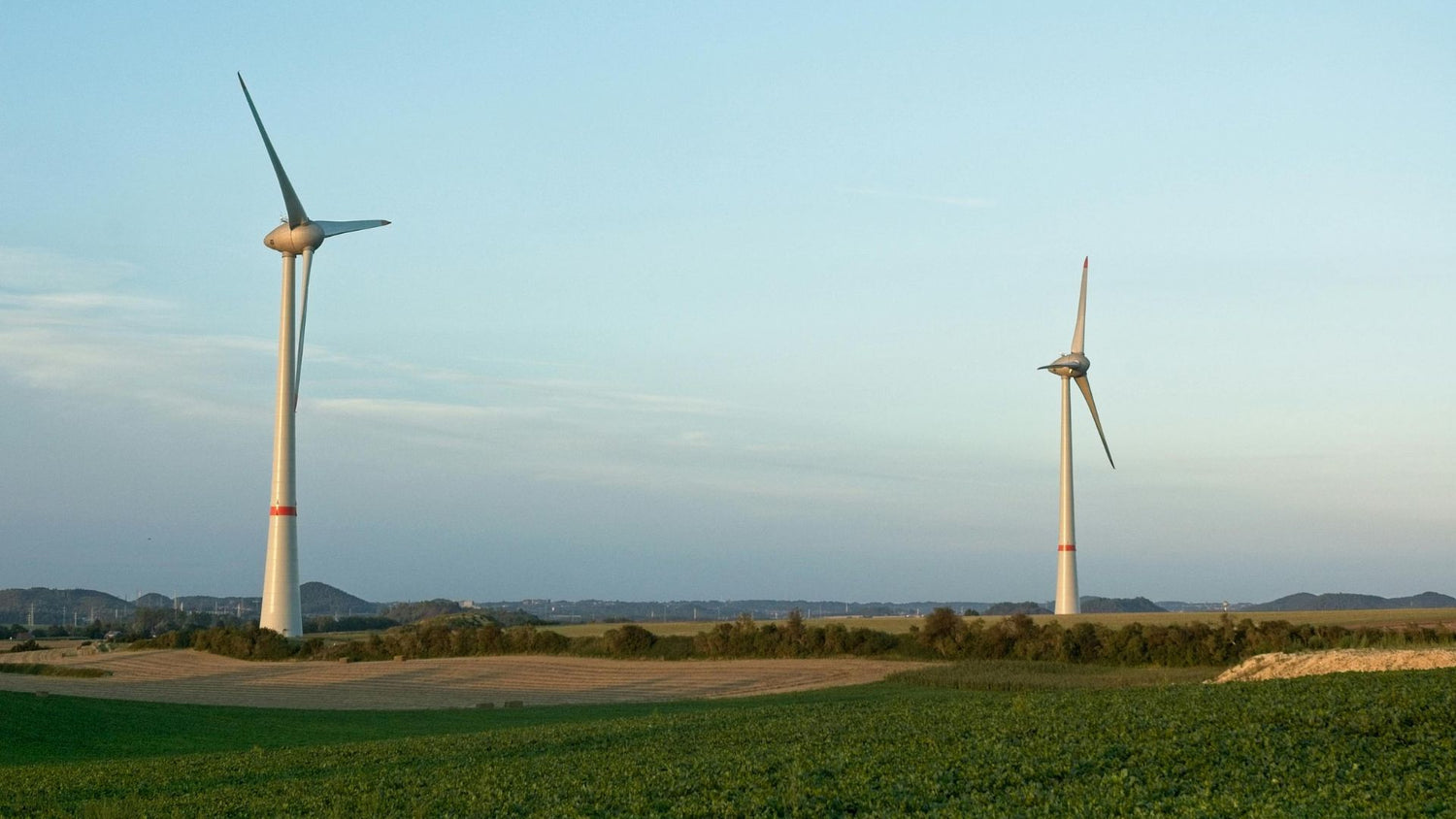 Reducing Your Carbon Footprint: Practical Tips for Sustainable Businesses