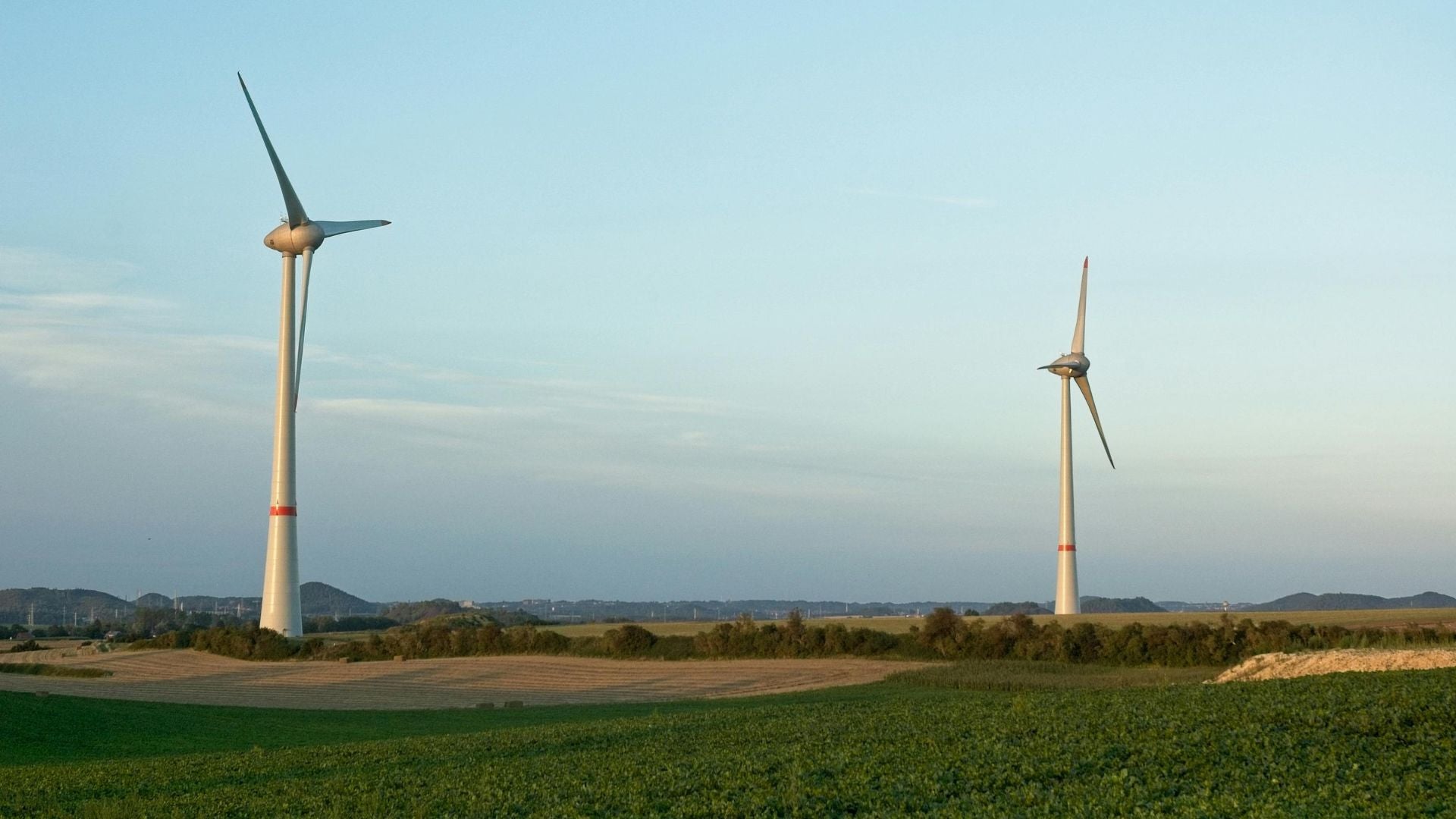 Reducing Your Carbon Footprint: Practical Tips for Sustainable Businesses