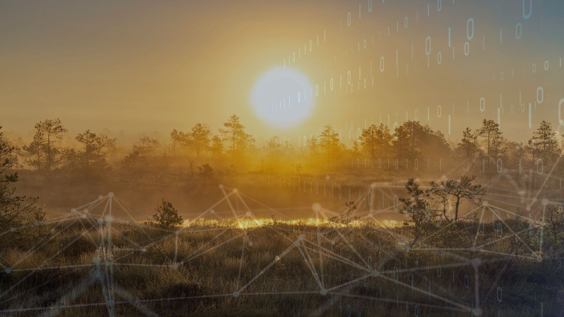 The Environmental Impact of AI: What You Should Know
