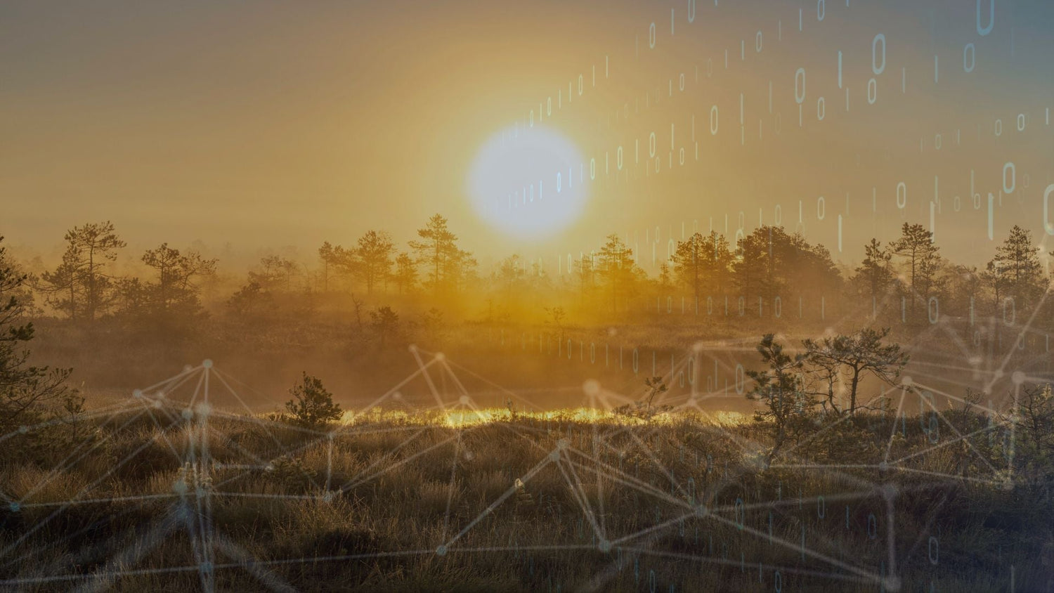 The Environmental Impact of AI: What You Should Know