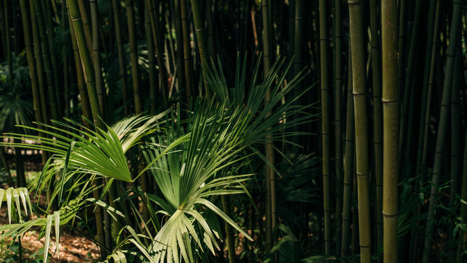 The Three Pillars of Sustainability: A Framework for a Greener Future